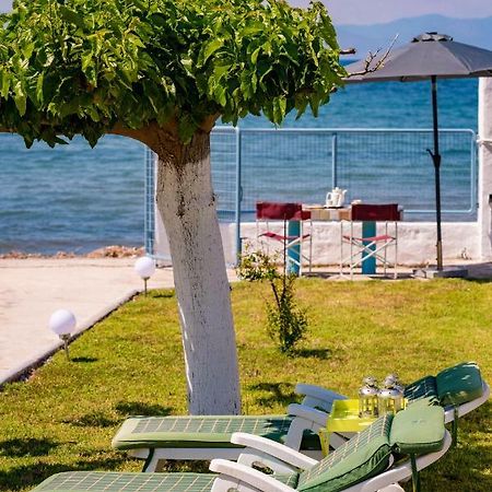 Kiko, The Coastline House Βίλα Κάτω Αχαΐα Εξωτερικό φωτογραφία